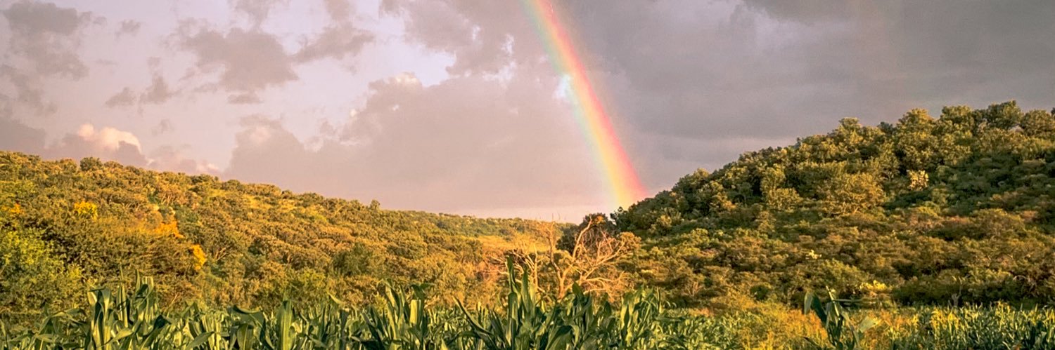 pattcaballero's profile banner image