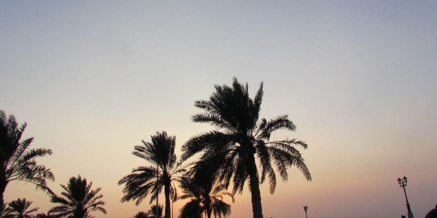 Manoo_Ali_'s profile banner image