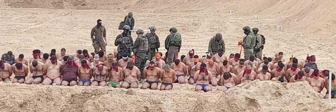 Paz Hoffman📟 banner