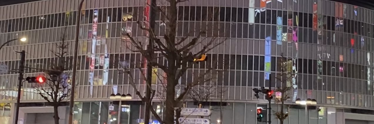 とろろ@固ツイ参照 banner