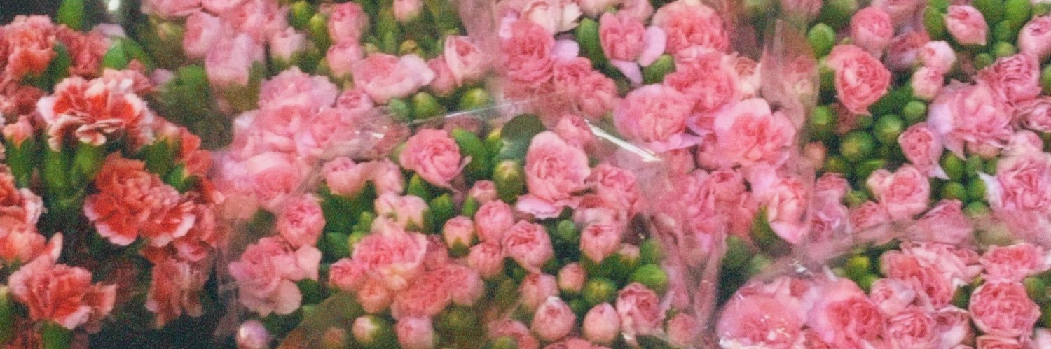 kxparis05's profile banner image