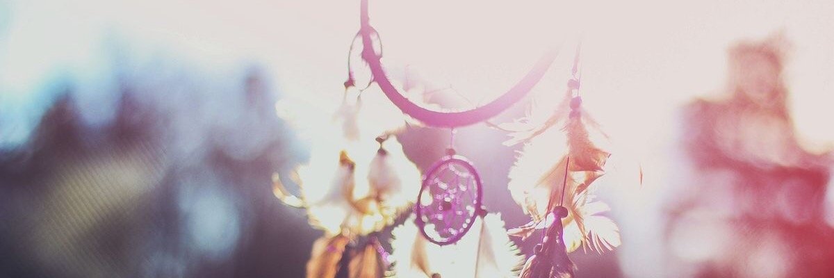 thebalancedbeet's profile banner image