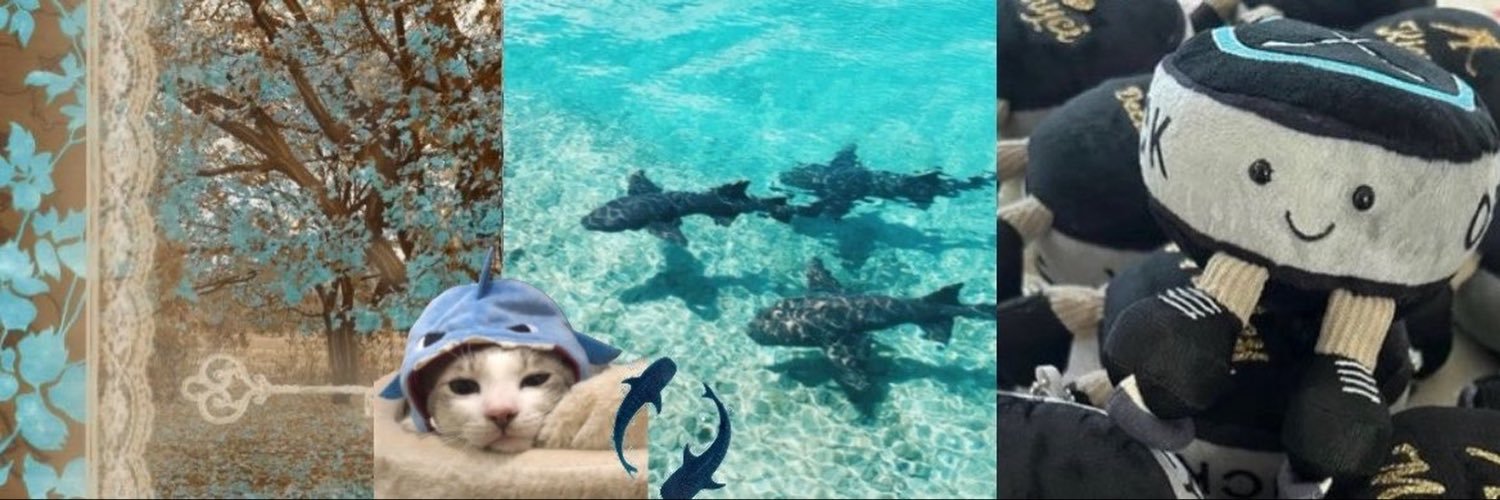 lvrsdiaz's profile banner image