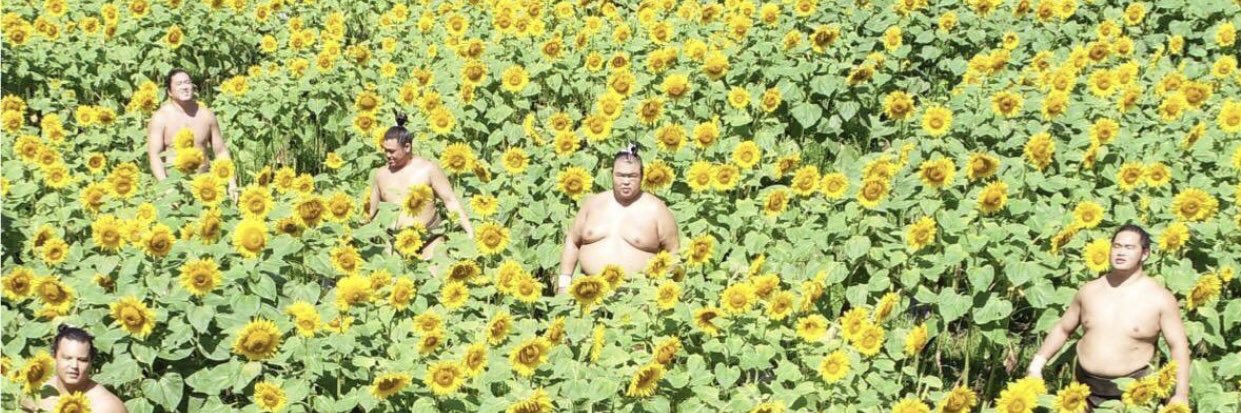 djbobohead's profile banner image