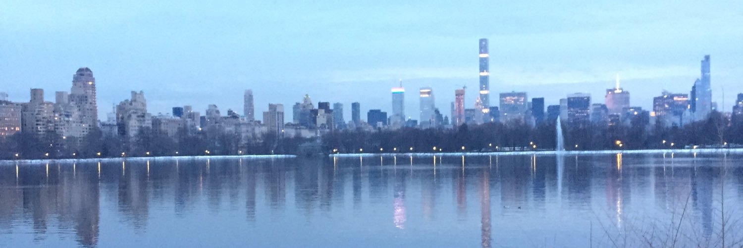 williamdevries5's profile banner image