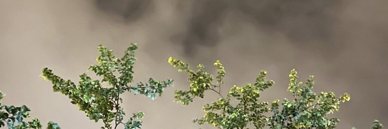 a711_sh's profile banner image