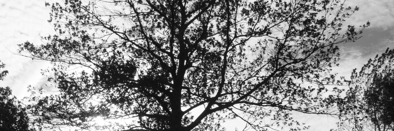Jefferson_MW's profile banner image