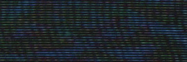 meganeellison Profile Banner