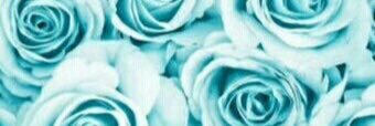 ahahaniikiru's profile banner image