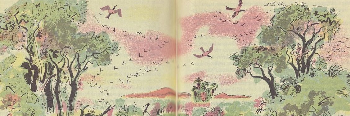 lacuartabronte's profile banner image