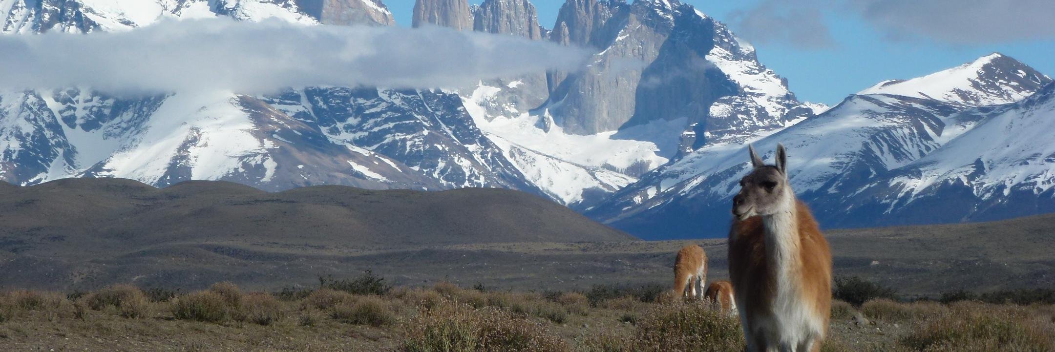 mcberrio's profile banner image