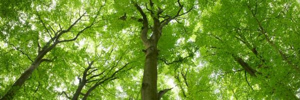 MoritzVargas Profile Banner