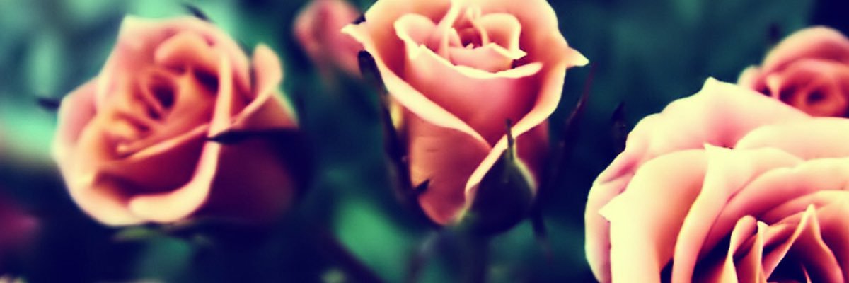 HermioneWebster's profile banner image