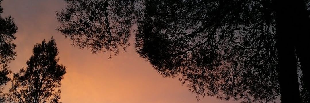 iriis_001's profile banner image