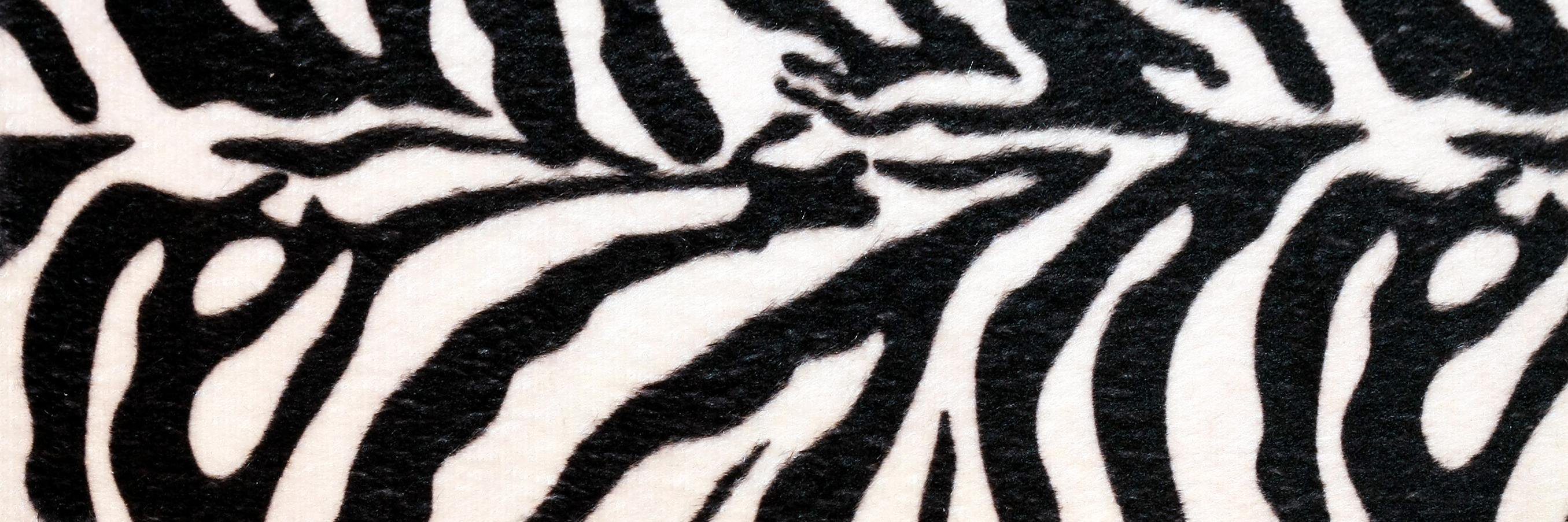 Animal Print Carpets banner