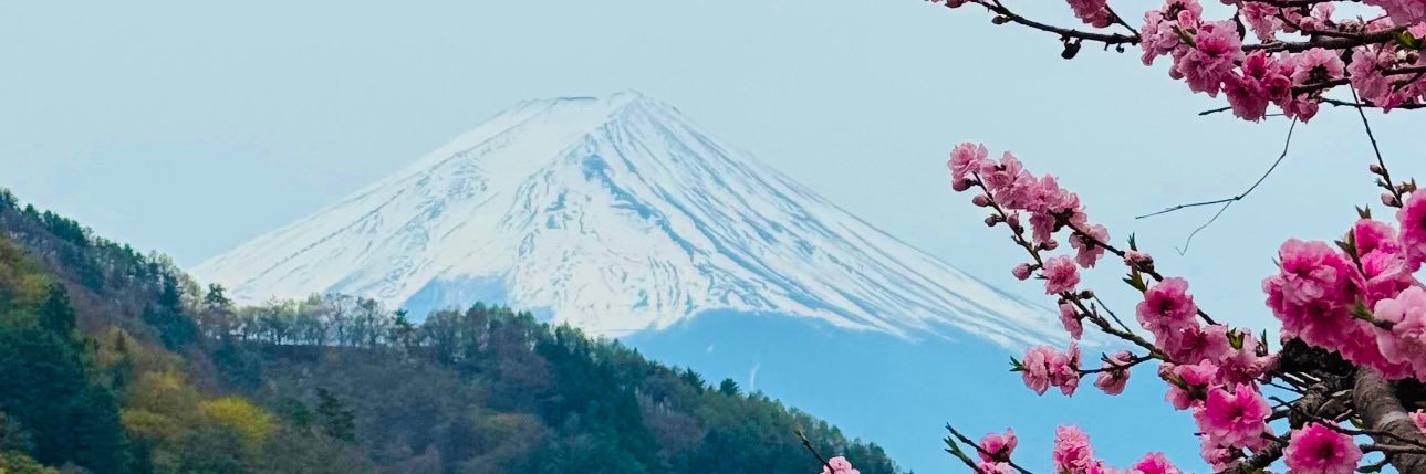 pr0t0n1c's profile banner image