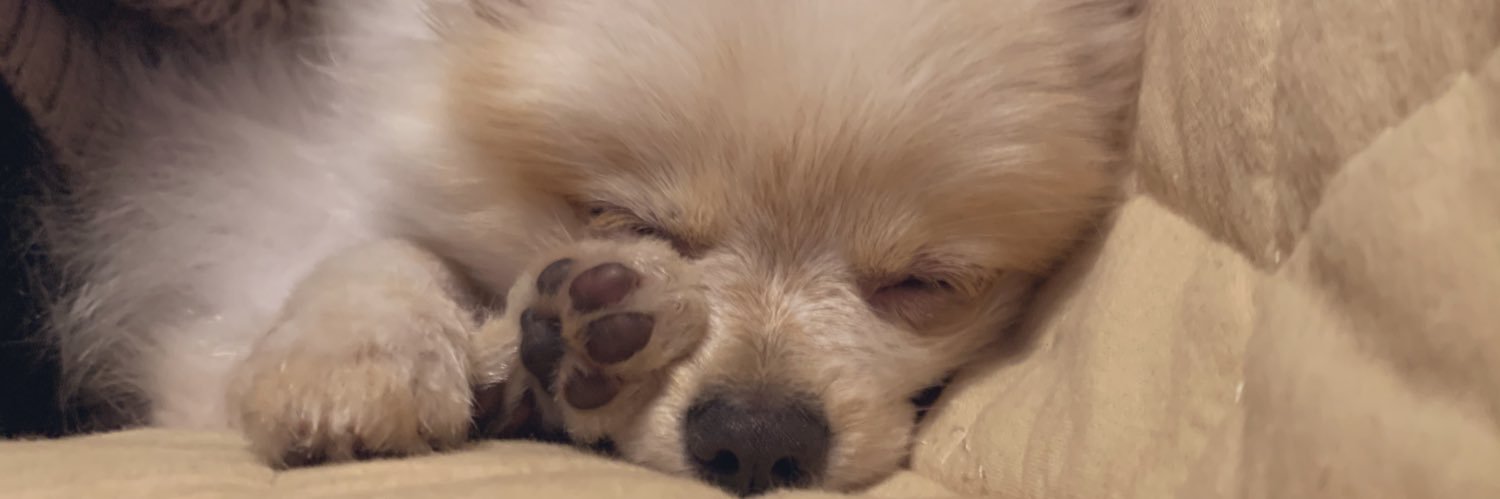 oimwc's profile banner image