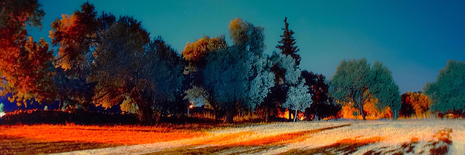 Aylin Kinacioğlu banner