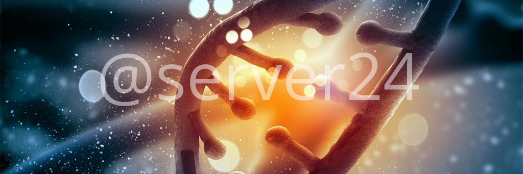server24de's profile banner image