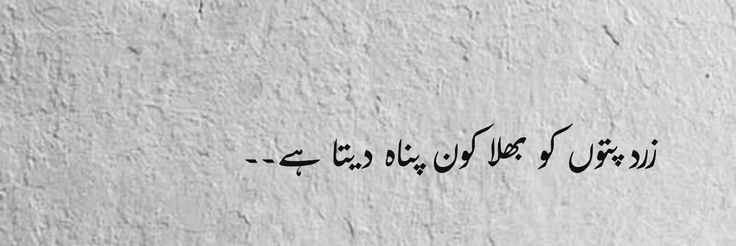 amna869's profile banner image