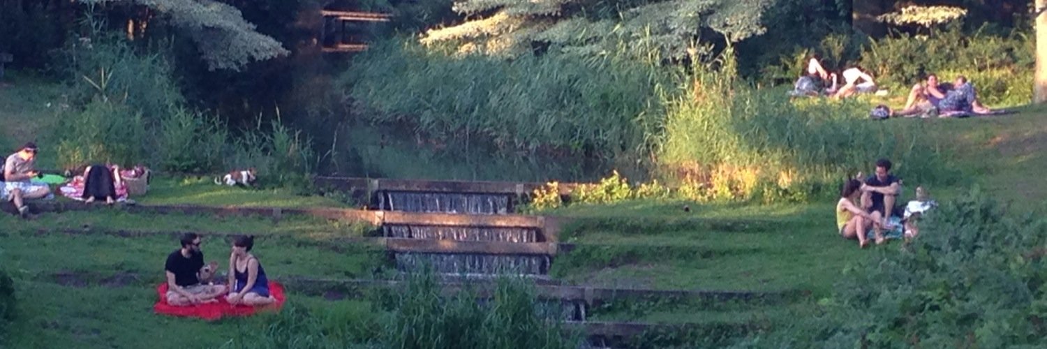 Stephen Stetson banner