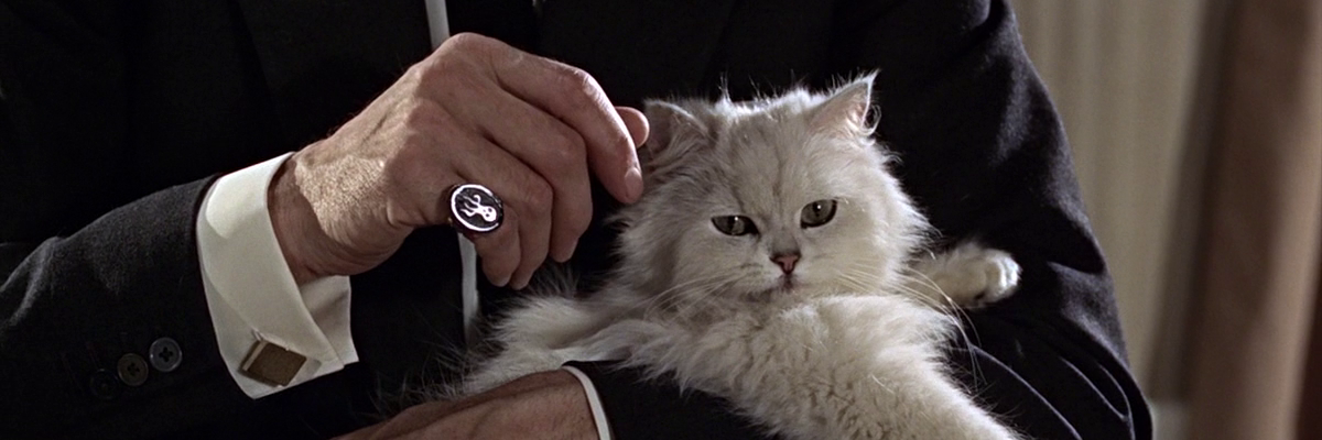 cattivodeifilm's profile banner image