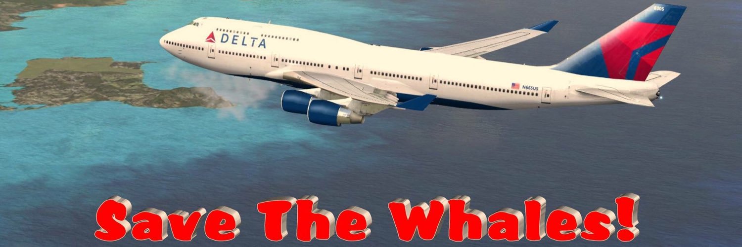 skyprincess4742's profile banner image