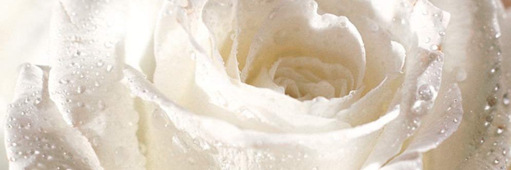 TrianaVapes's profile banner image