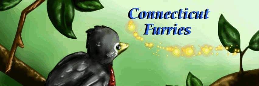 CTfurs's profile banner image