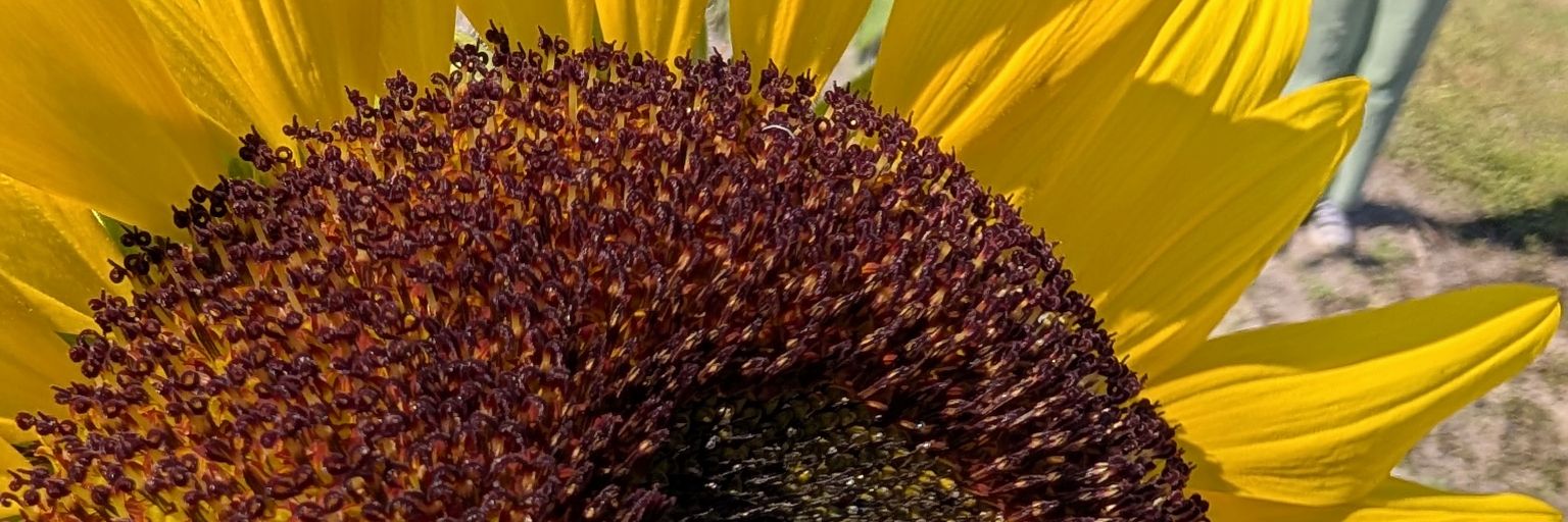 ebaezzz's profile banner image