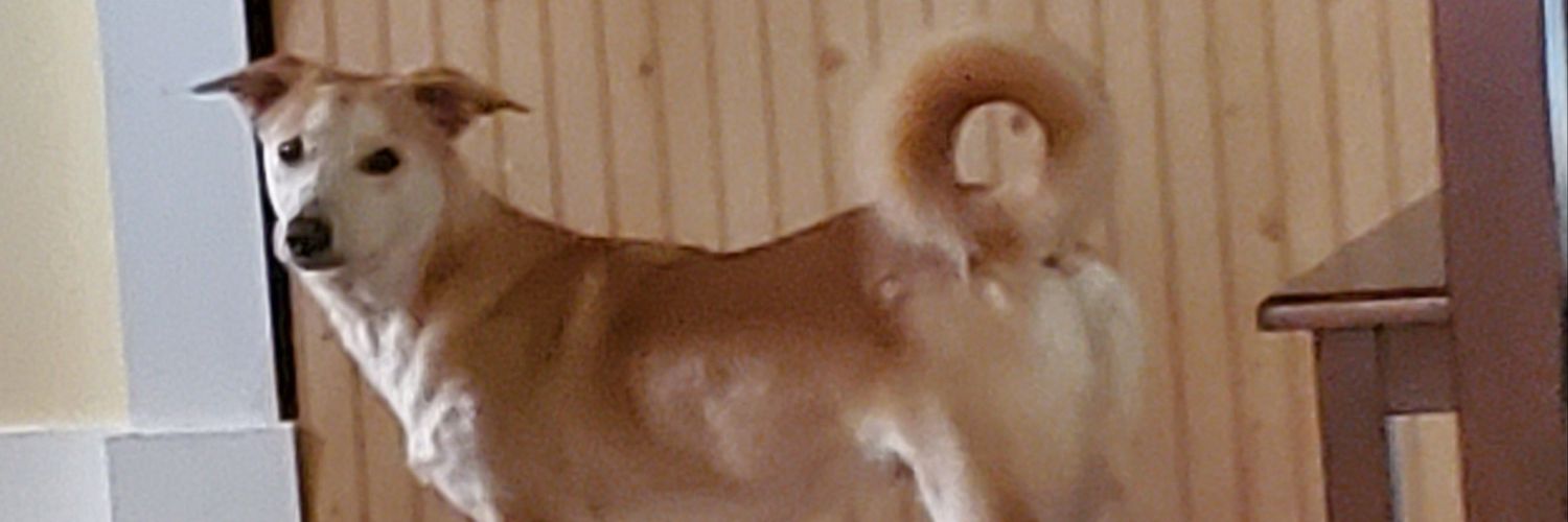 JBStaal's profile banner image