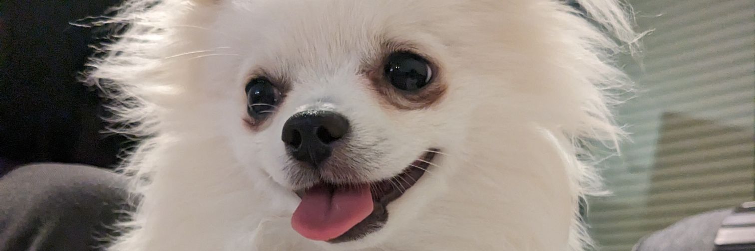 paxhana's profile banner image