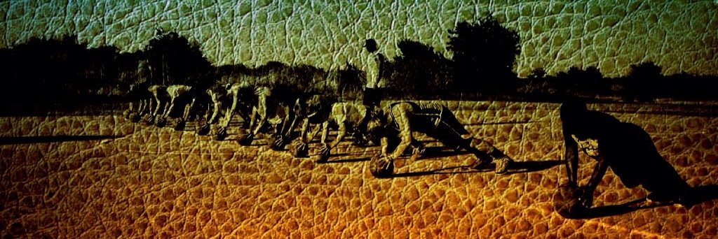 the_COUP_'s profile banner image