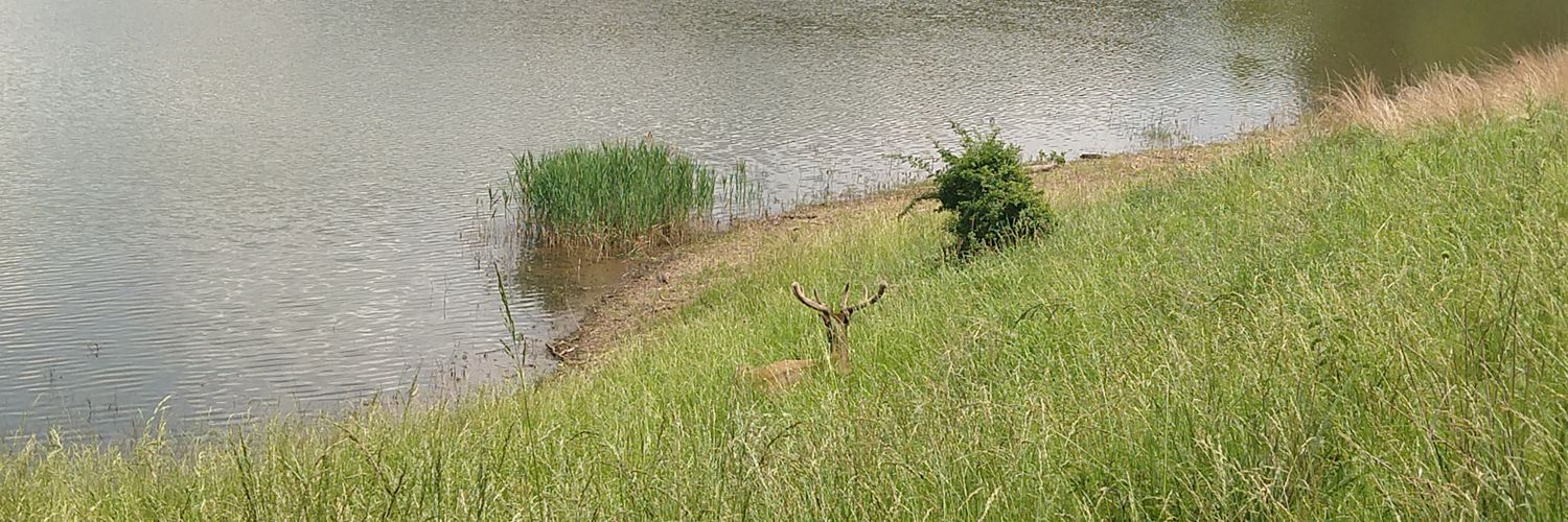 LiveLoveHunt® banner