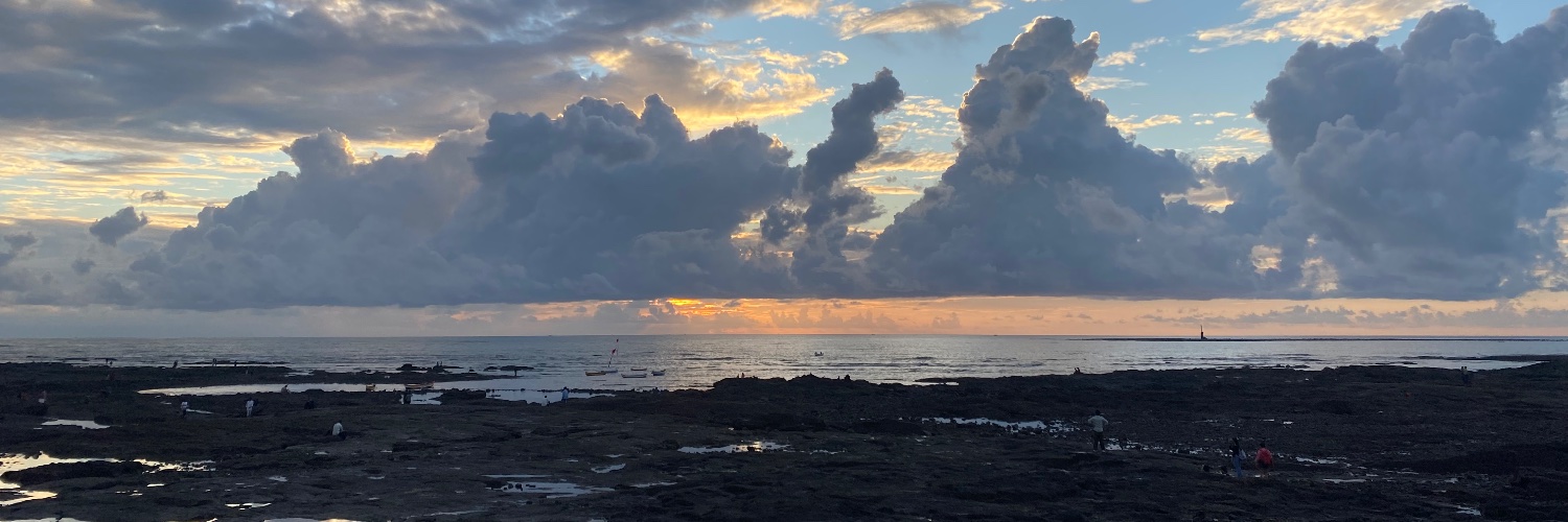 pirate cockroach banner