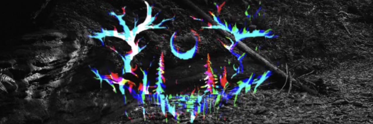 HulkSwagin_'s profile banner image