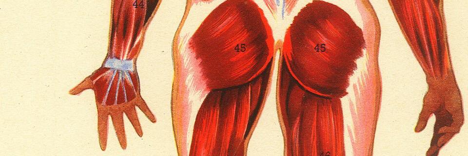 lamuebleri's profile banner image