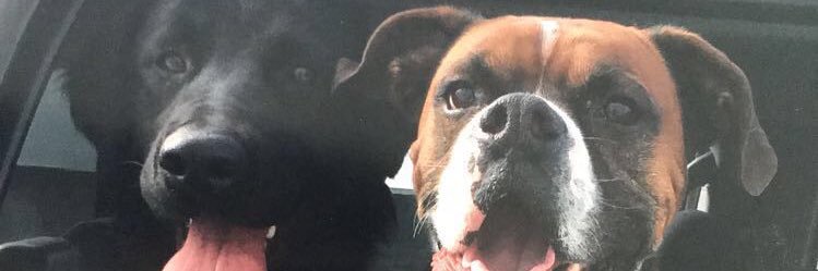 JR_richardson2's profile banner image