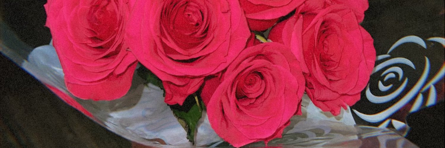 leothottie's profile banner image