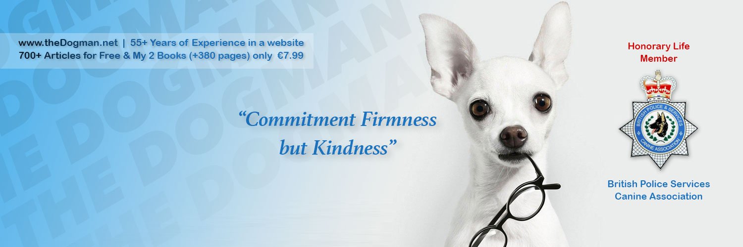 DavidTheDogman's profile banner image