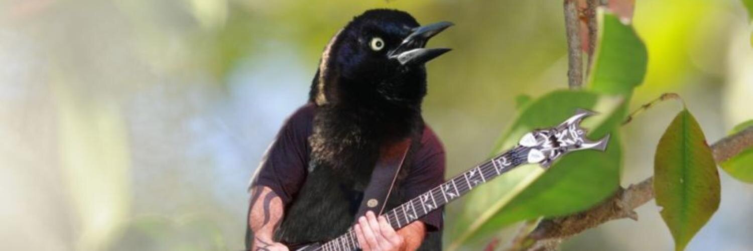 t00lbert's profile banner image