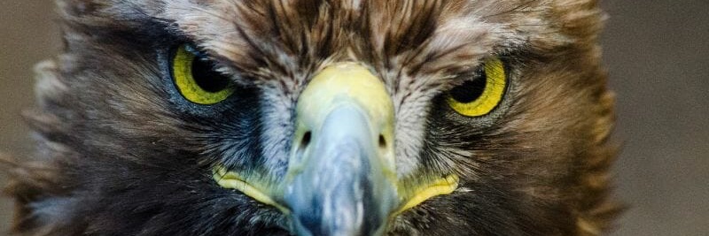 Velardeeee_'s profile banner image