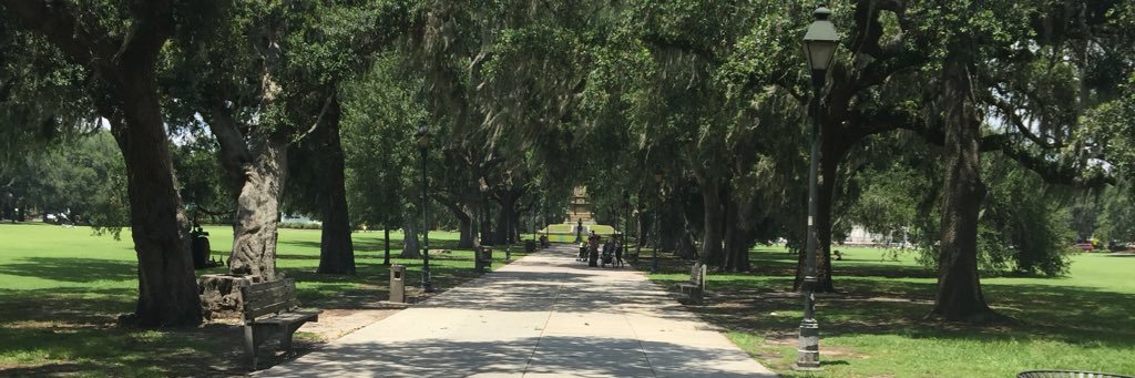 nmdimatties's profile banner image