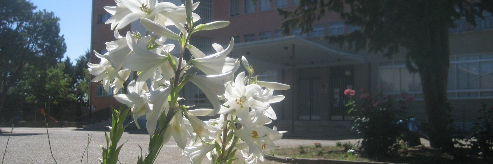 Virgi10C's profile banner image