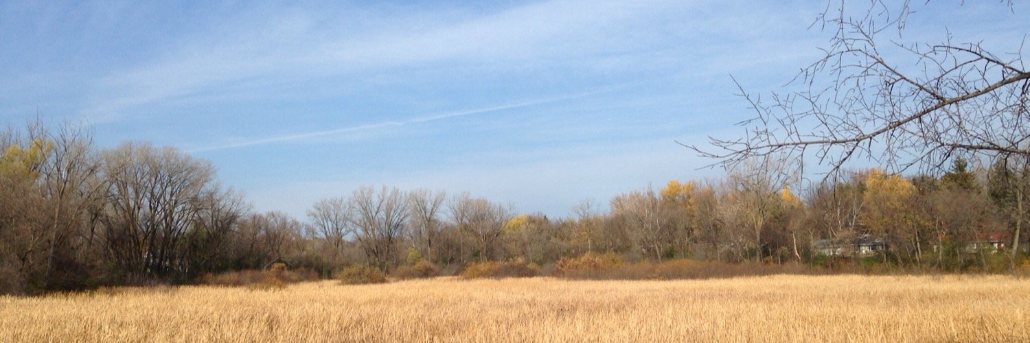 imaretska's profile banner image
