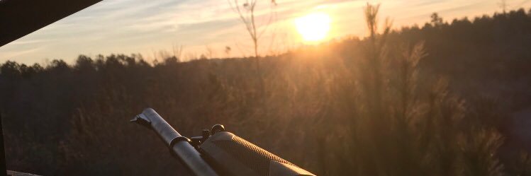 rett_saele's profile banner image