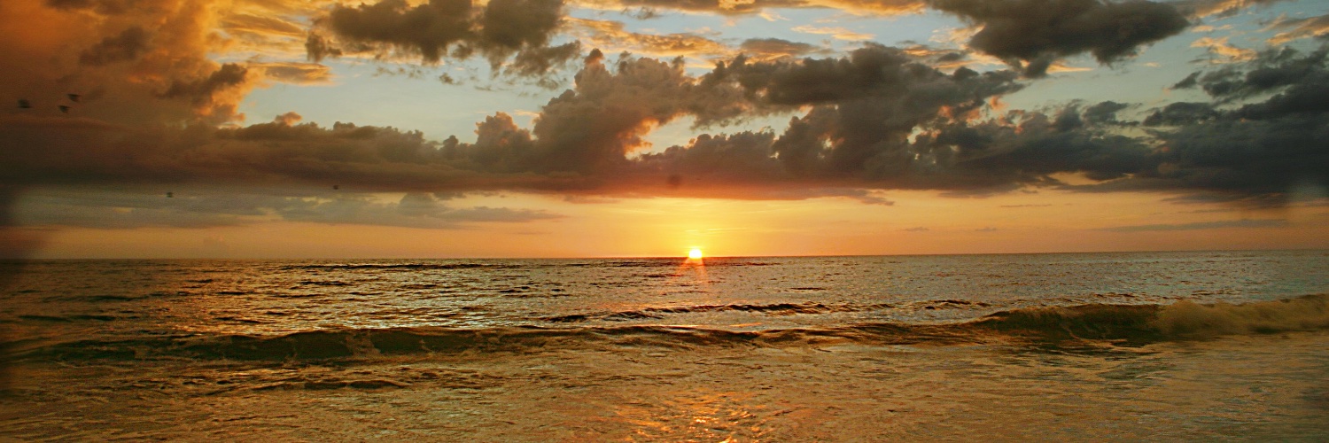 TheRealMark829's profile banner image