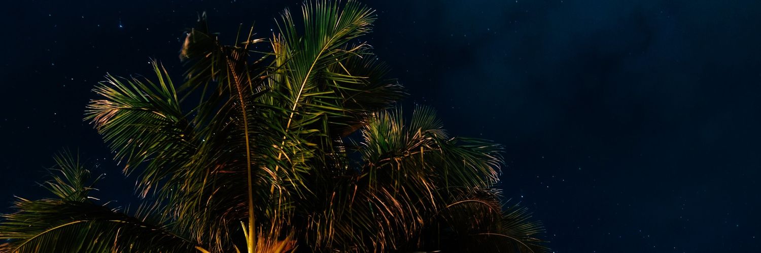 JoshuaDunkin's profile banner image