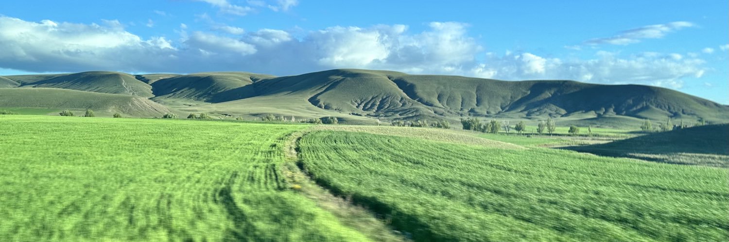 cdmsfr's profile banner image
