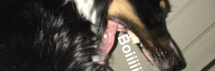 iz_greenn's profile banner image